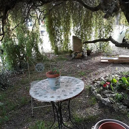 Suzana Alloggio in famiglia *