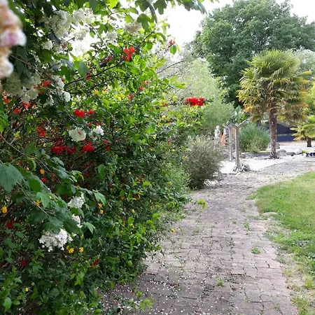 Alloggio in famiglia Suzana *