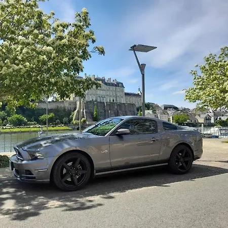 Suzana ホームステイ