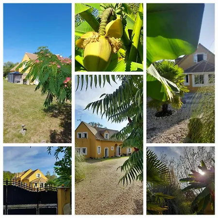 Suzana Alloggio in famiglia La Suze-sur-Sarthe