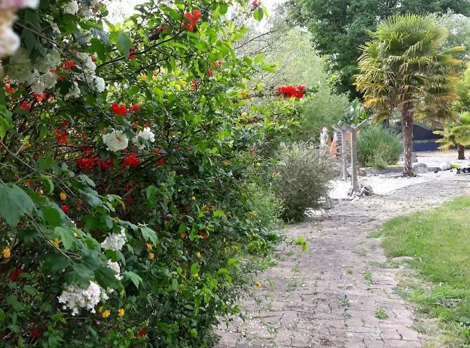Séjour chez l'habitant Suzana *