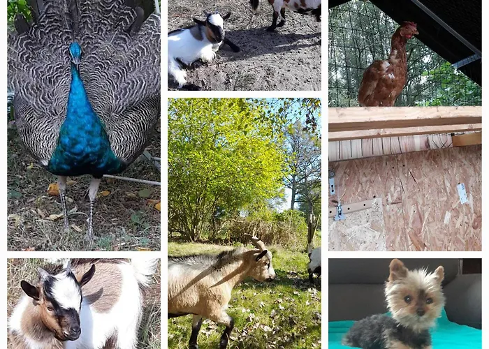 Suzana Séjour chez l'habitant *